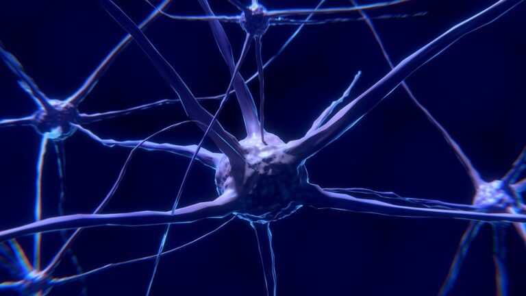 Consultant Neurologist Based In London SM Legal Services